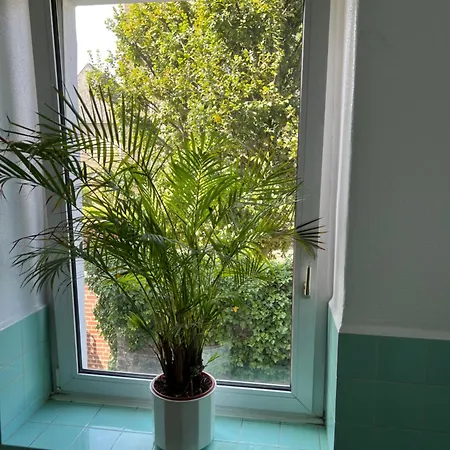 Koelsche Kluengel Appartement *