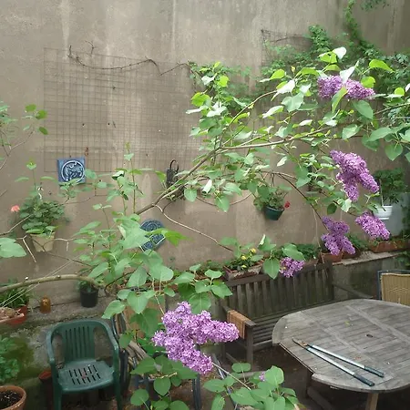 كولشيه كلونغيل *